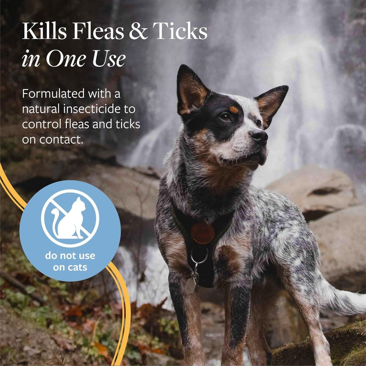Synergy Labs Veterinary Formula Flea & Tick Spray 237ml – Long-Lasting Protection for Dogs