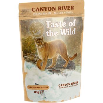Taste of the Wild Canyon River Cat Pouch 85g – Chunks in Gravy