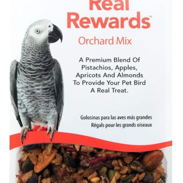 Real Reward Large Parrot Treats-Orchard Mix 170g