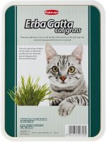 Padovan Erbagatto Cat Grass 40g packet