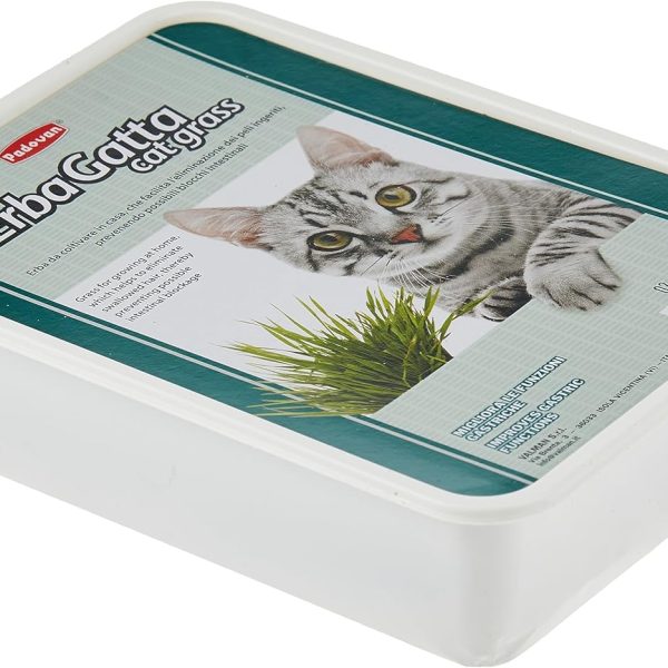 Padovan Erbagatto Cat Grass 40g packet