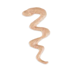 Schesir Baby Thrive Mousse Kitten Chicken Wet Food 160g