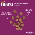 Schesir Dog Snacks Trainers Soft & Chewy 283g - Bacon. Bite-sized, soft training treats with real bacon, grain-free, no artificial colors or preservatives.