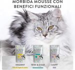 Schesir Special Mousse Exigent Cat Food – Chicken with Duck Liver 70g, natural and grain-free mousse for picky cats.