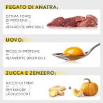 Schesir Special Mousse Exigent Cat Food – Chicken with Duck Liver 70g, natural and grain-free mousse for picky cats.