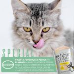 Schesir Special Mousse Exigent Cat Food – Chicken with Duck Liver 70g, natural and grain-free mousse for picky cats.