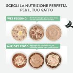 Schesir Special Mousse Exigent Cat Food – Chicken with Duck Liver 70g, natural and grain-free mousse for picky cats.