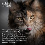 Schesir Special Mousse Exigent Cat Food – Chicken with Duck Liver 70g, natural and grain-free mousse for picky cats.