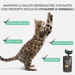 Schesir Velvet Mousse Cat Chicken With Beef 80g