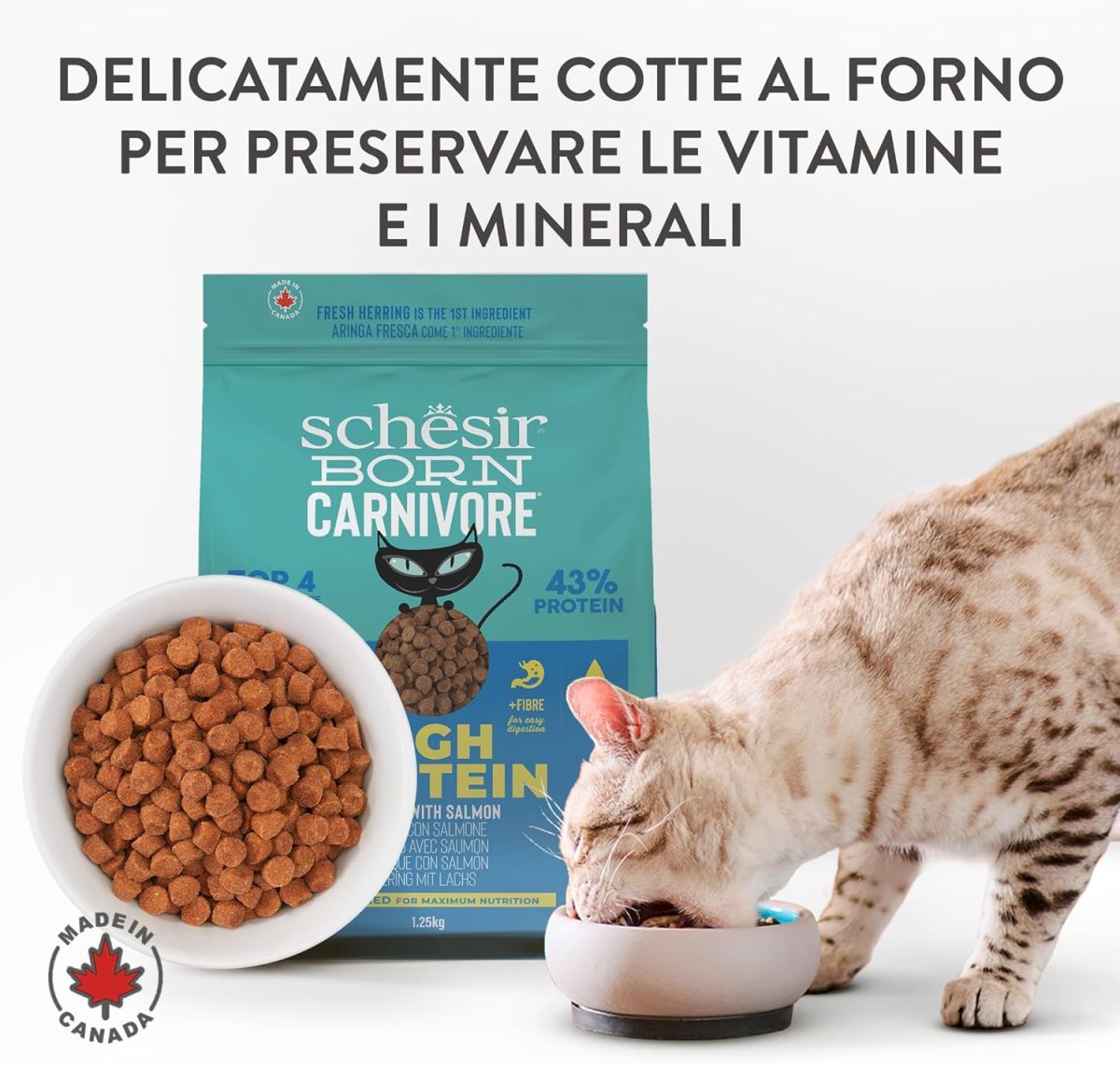 Schesir Born Carnivore Grain Free Dry Cat Food Herring & Salmon 1.25kg