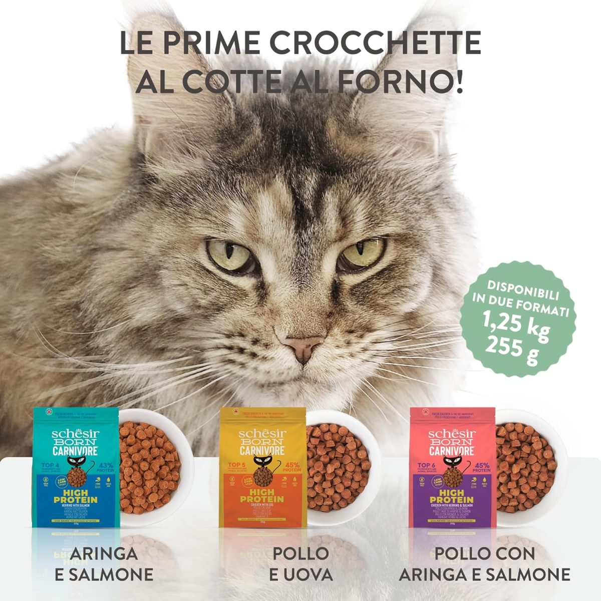 Schesir Born Carnivore Grain Free Dry Cat Food Herring & Salmon 1.25kg