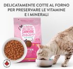 Schesir Born Carnivore Grain Free Kitten Dry Cat Food Chicken & Egg 1.25kg