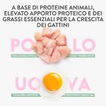 Schesir Born Carnivore Grain Free Kitten Dry Cat Food Chicken & Egg 1.25kg