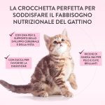 Schesir Born Carnivore Grain Free Kitten Dry Cat Food Chicken & Egg 1.25kg