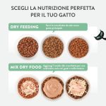 Schesir Born Carnivore Grain Free Kitten Dry Cat Food Chicken & Egg 1.25kg