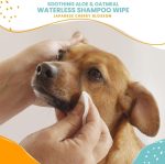 Nootie Waterless Shampoo Wipes for Dogs – Japanese Cherry Blossom – 70 Count