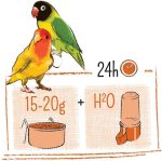 Witte Molen Puur Lovebird 2kg – natural seed mix for lovebirds and small parrots