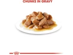Royal Canin Mini Adult Wet Dog Food 12x85g Pouches