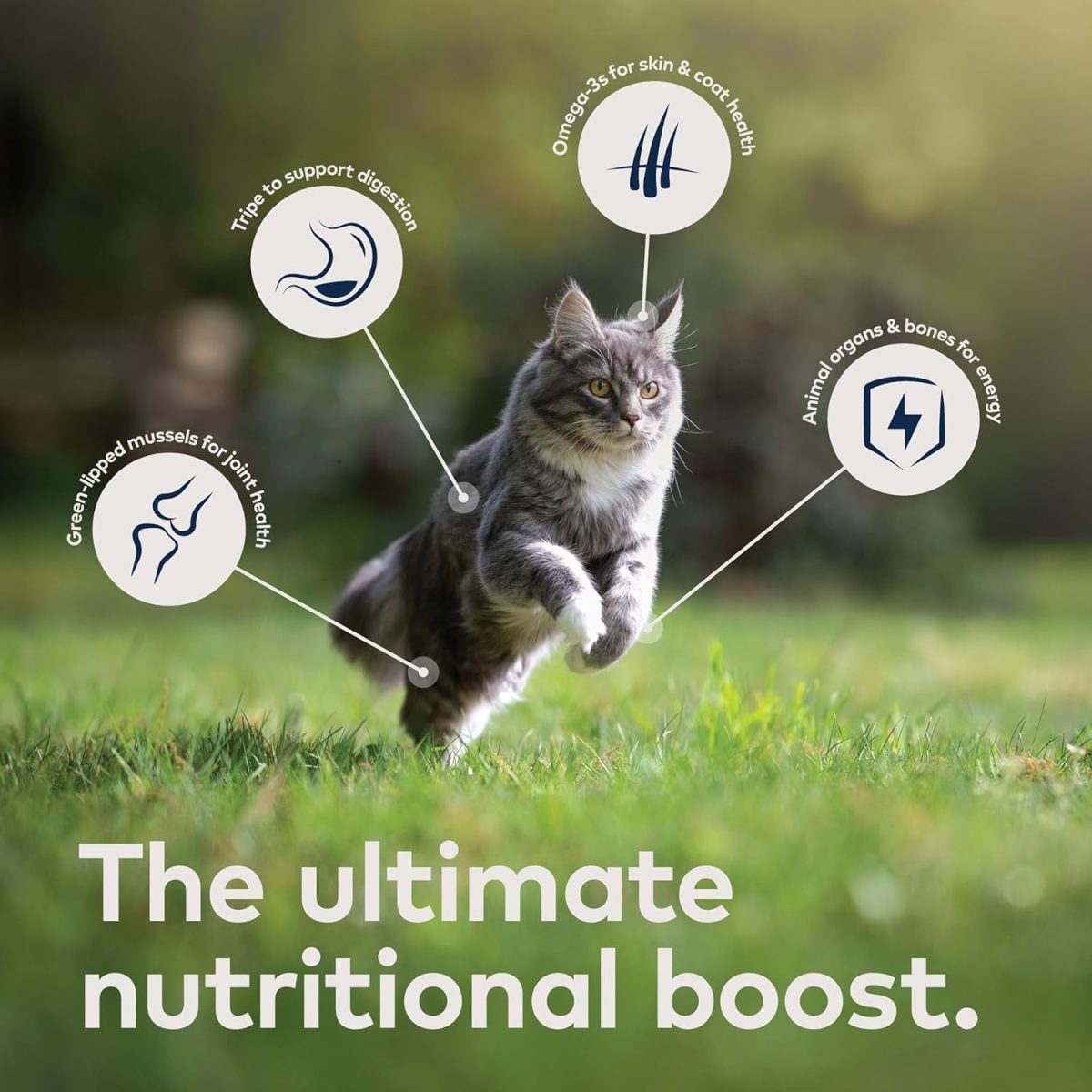 ZIWI Venison Cat Food