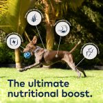 ZIWI Peak Lamb Recipe Wet Dog Food 185g can with fresh lamb and natural ingredients