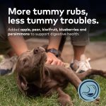 ZIWI Peak Steam & Dried Cage-Free Chicken with Orchard Fruits Recipe Dog Food 1.5kg – Natural Grain-Free Premium Dog Food