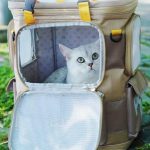 Purrpy Cat Backpack – Breathable Travel Carrier for Cats