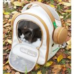 headphon bag