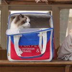 Purrpy pet carrier backpack