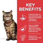 Hill's Science Plan Sensitive Stomach & Skin Adult Cat Food with Chicken - 1.5 Kg