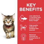 Hill's Science Plan Kitten Food with Tuna - 1.5 Kg