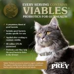 Taste of the Wild Prey Turkey Dry Cat Food 2.72kg Bag
