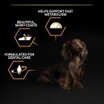 Pro Plan Small & Mini Adult Chicken Dry Dog Food 7kg Bag
