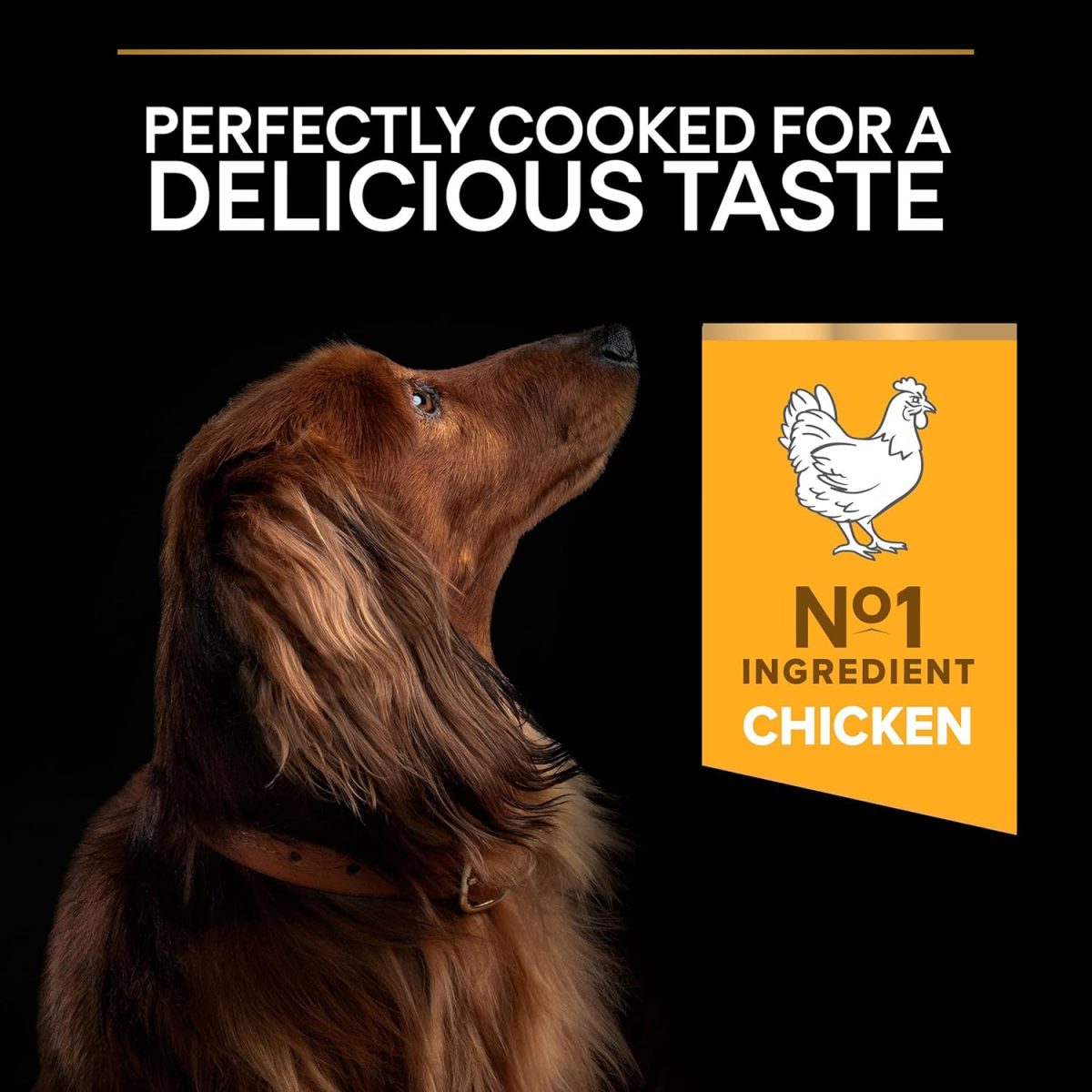 Pro Plan Small & Mini Adult Chicken Dry Dog Food 7kg Bag