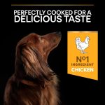 Pro Plan Small & Mini Adult Chicken Dry Dog Food 7kg Bag