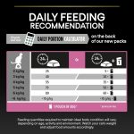 PRO PLAN Delicate Digestion Dry Cat Food with Turkey – 10kg Bag for Sensitive Cats