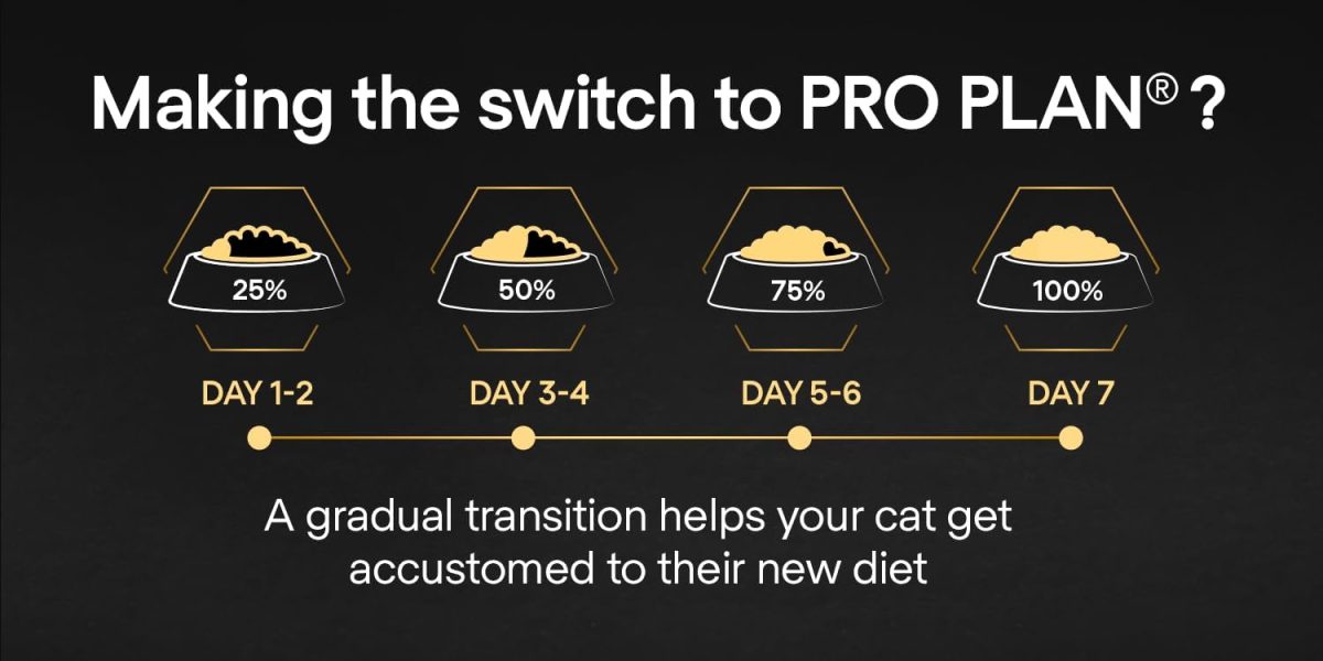 PRO PLAN Delicate Digestion Dry Cat Food with Turkey – 10kg Bag for Sensitive Cats