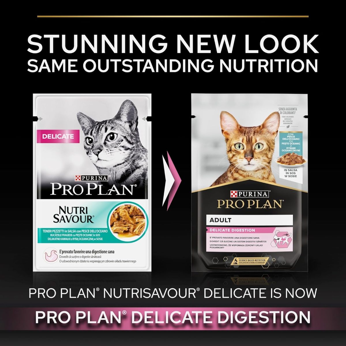PRO PLAN Delicate Ocean Fish Wet Cat Food 85g pouch pack