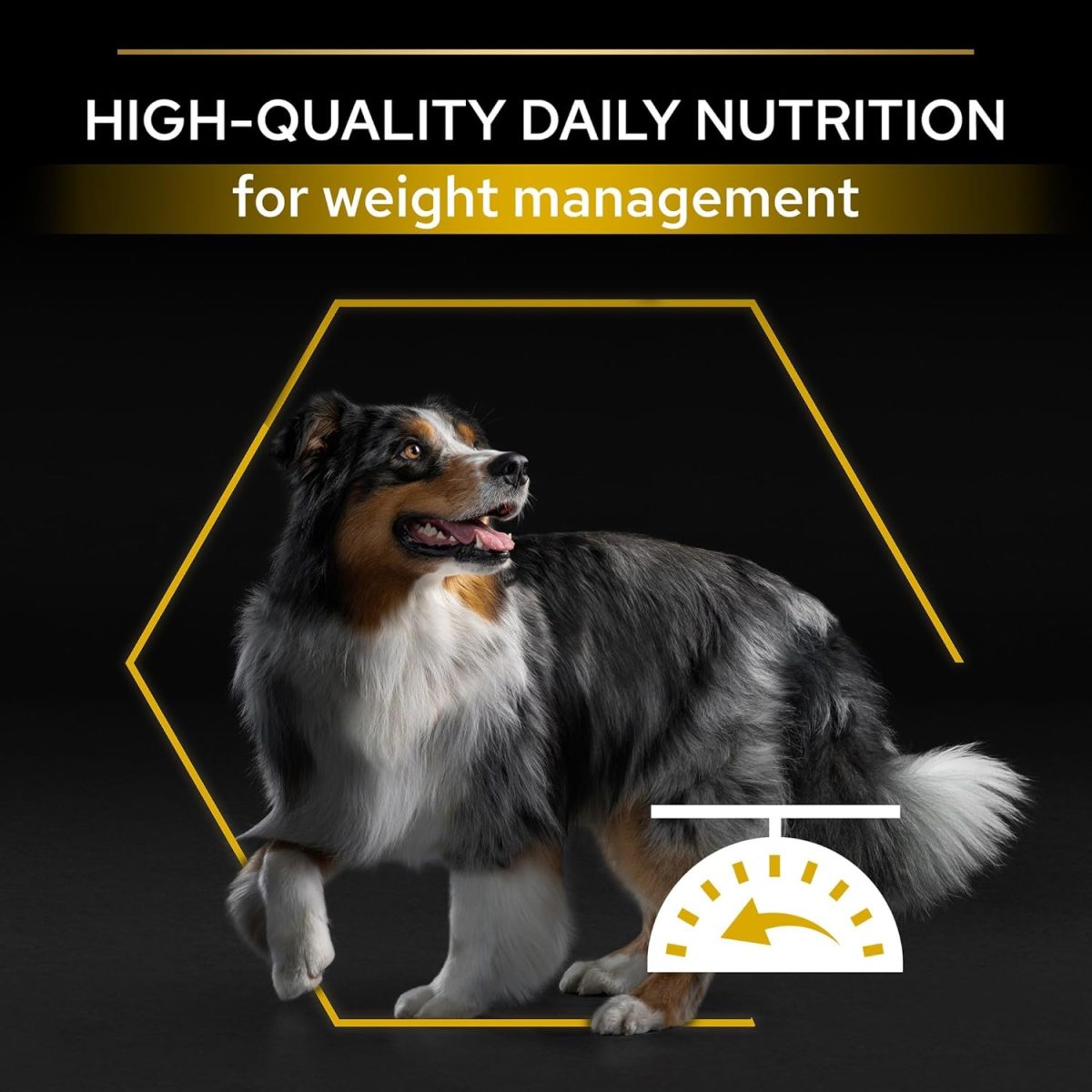Bag of Pro Plan Light Sterilised Optiweight Chicken Dog Food 3kg