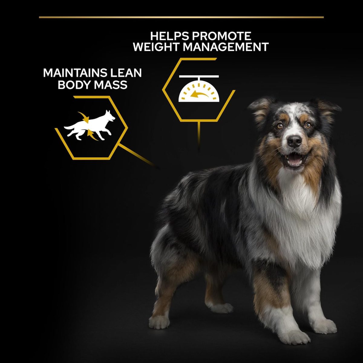 Bag of Pro Plan Light Sterilised Optiweight Chicken Dog Food 3kg