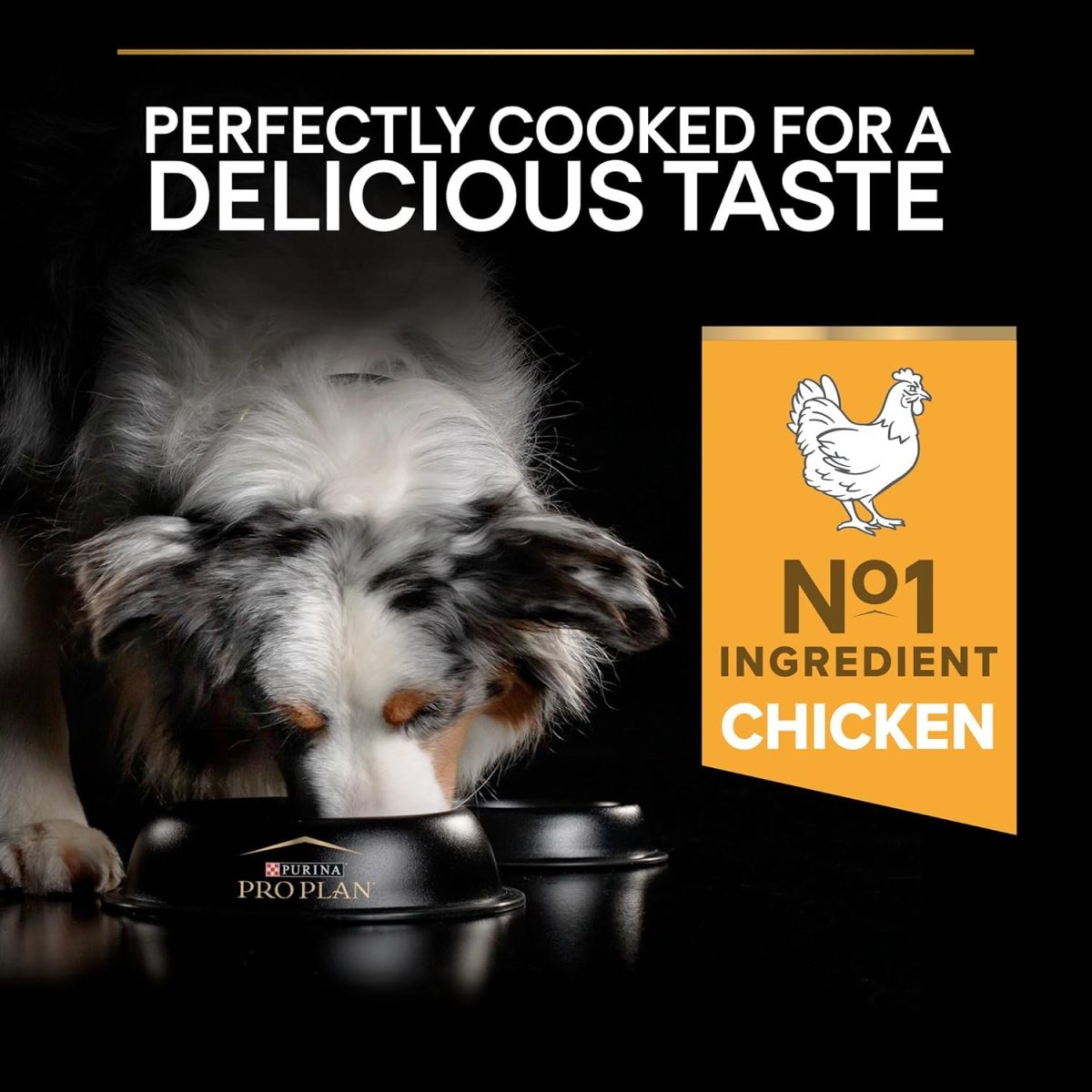 Bag of Pro Plan Light Sterilised Optiweight Chicken Dog Food 3kg
