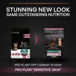 Sensitive Skin Dog Food – PRO PLAN Salmon 3kg for Small Breeds
