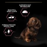 Sensitive Skin Dog Food – PRO PLAN Salmon 3kg for Small Breeds