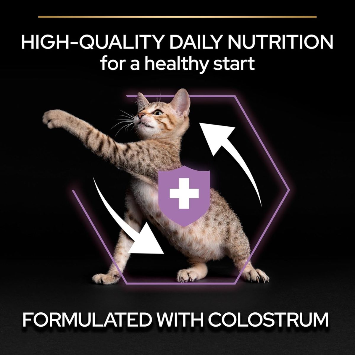 PRO PLAN Healthy Starter Chicken Kitten Food 10kg
