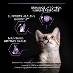 PRO PLAN Healthy Starter Chicken Kitten Food 10kg