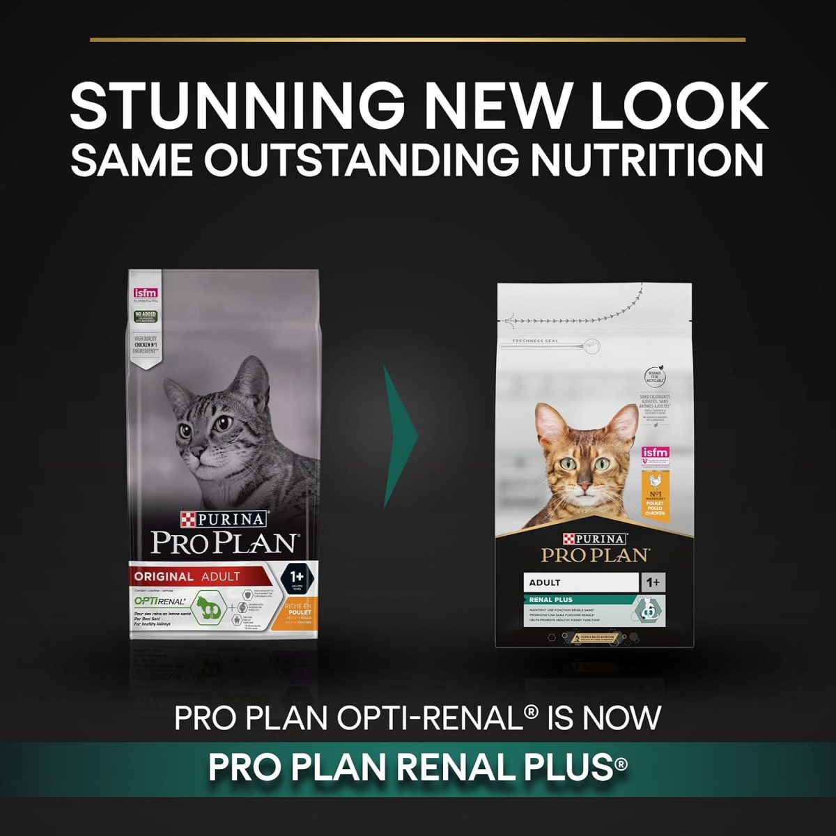 PRO PLAN Adult Renal Plus Dry Cat Food with Chicken – 10kg Bag for Kidney Support