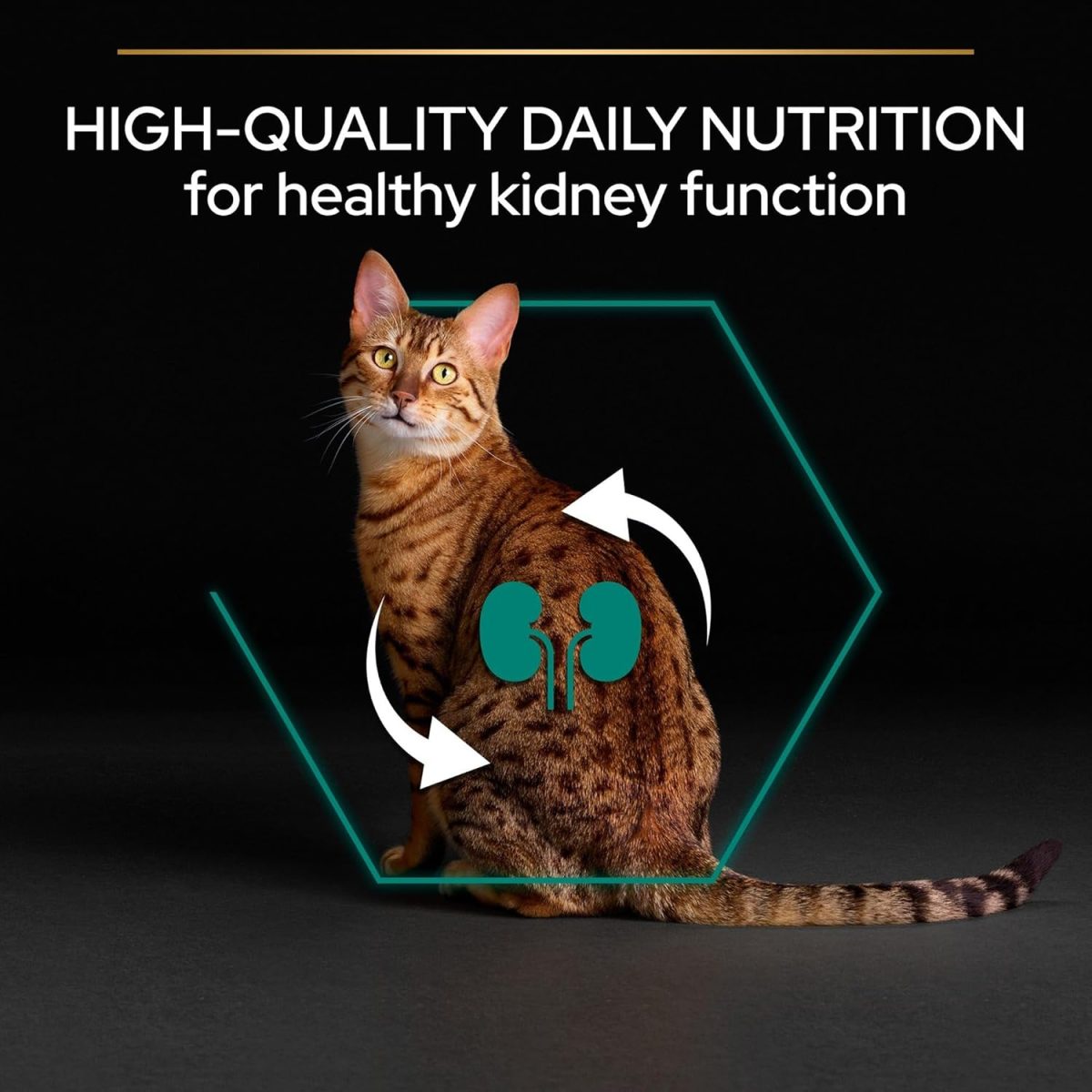 PRO PLAN Adult Renal Plus Dry Cat Food with Chicken – 10kg Bag for Kidney Support