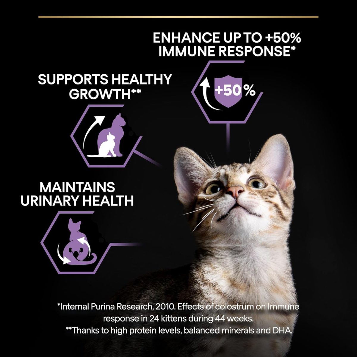 PRO PLAN Sterilised Kitten Healthy Start Salmon 1.5kg Dry Cat Food