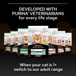 PRO PLAN Sterilised Kitten Healthy Start Salmon 1.5kg Dry Cat Food
