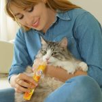 Churu Pops Chicken Recipe 56g hydrating lickable cat treat