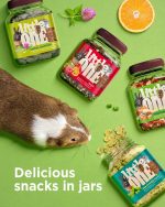 Little One Herbal Crunchies Small Pet Treat 100g – For Rabbits, Guinea Pigs, Hamsters & Chinchillas